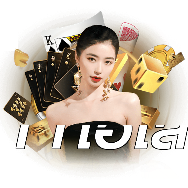 11ไฮโล